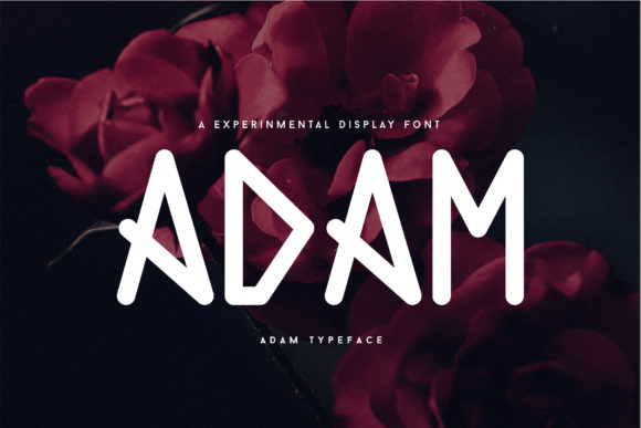Adam Font - Featured Image