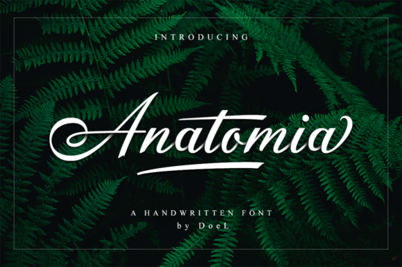 Anatomia Script Font - Featured Image