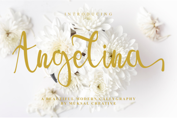 Angelina Font - Featured Image