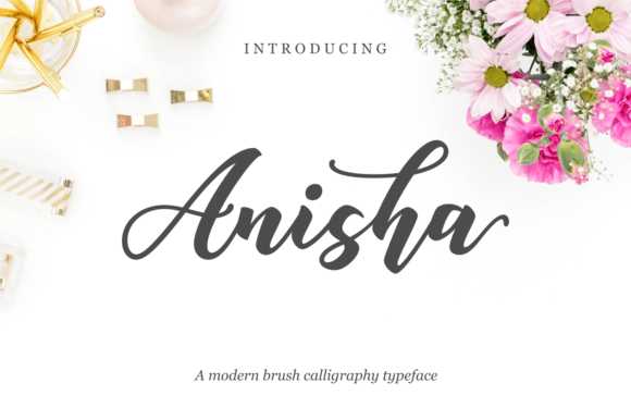 Anisha Font - Featured Image