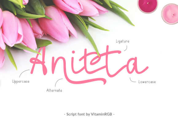 Anitta Script Font - Featured Image