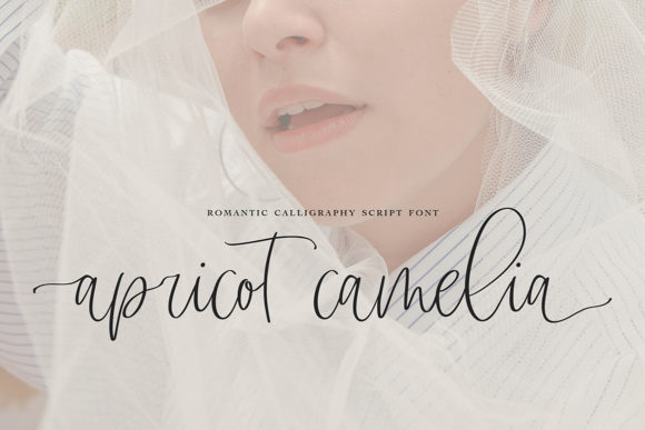 Apricot Camelia Font - Featured Image