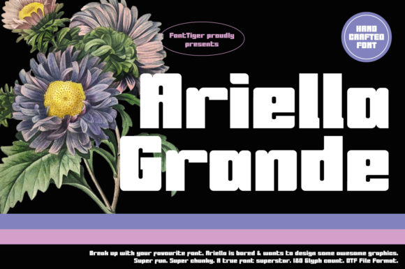 Ariella Grande Font - Featured Image