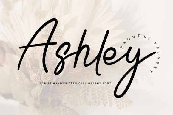 Ashley Font - Featured Image