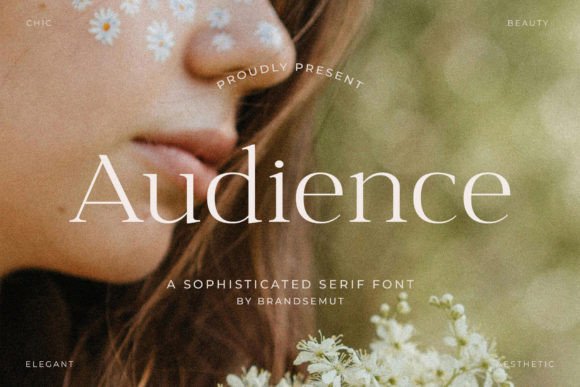 Audience Font - Featured Image