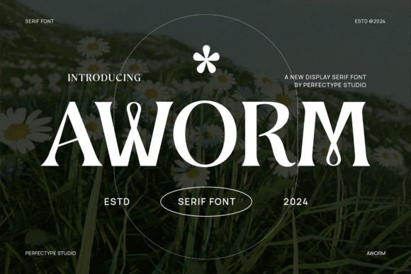 Aworm Font - Featured Image