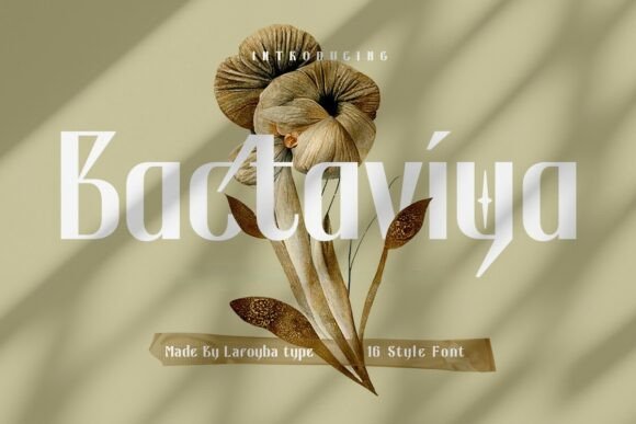 Bactaviya Font - Featured Image