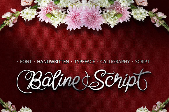 Baline Script Font - Featured Image