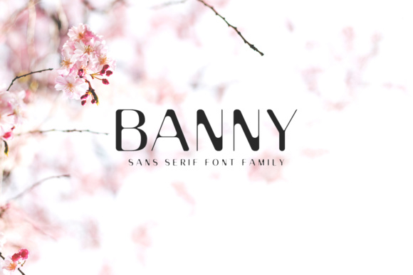 Banny Sans Serif Family Font - Featured Image