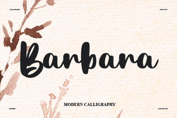 Barbara Font - Featured Image