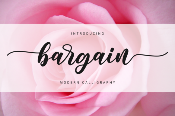Bargain Font - Featured Image