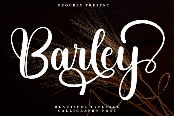 Barley Font - Featured Image