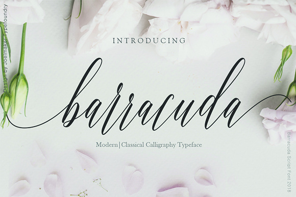 Barracuda Script Font - Featured Image