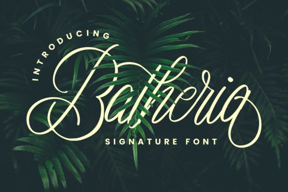 Batheria Font - Featured Image