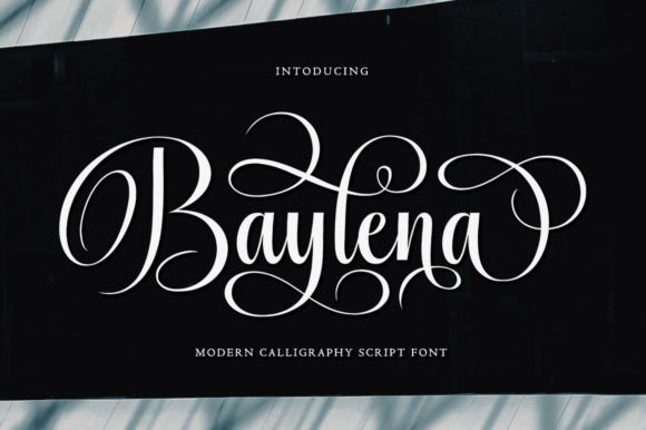 Baylena Font - Featured Image