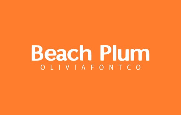 Beach Plum Font - Featured Image