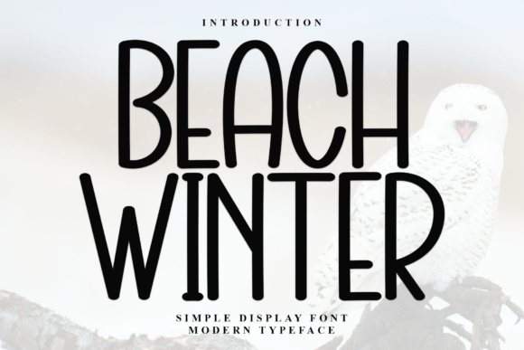 Beach Winter Font - Featured Image