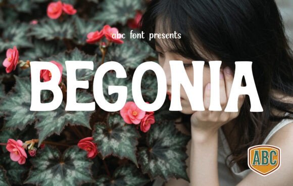Begonia Font - Featured Image