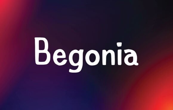 Begonia Font - Featured Image