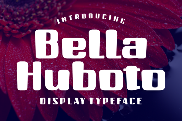 Bella Huboto Font - Featured Image