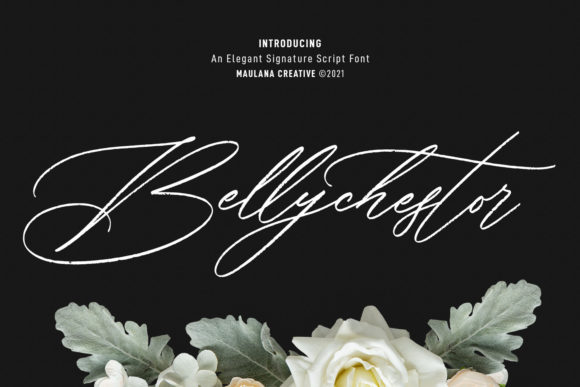 Bellychestor Font - Featured Image