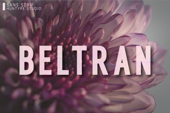 Beltran Font - Featured Image