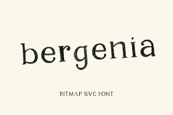 Bergenia Font - Featured Image