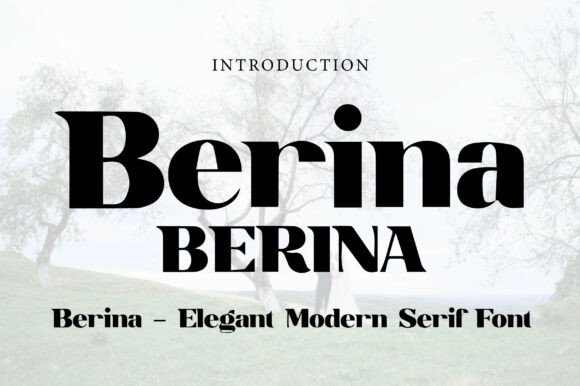 Berina Font - Featured Image