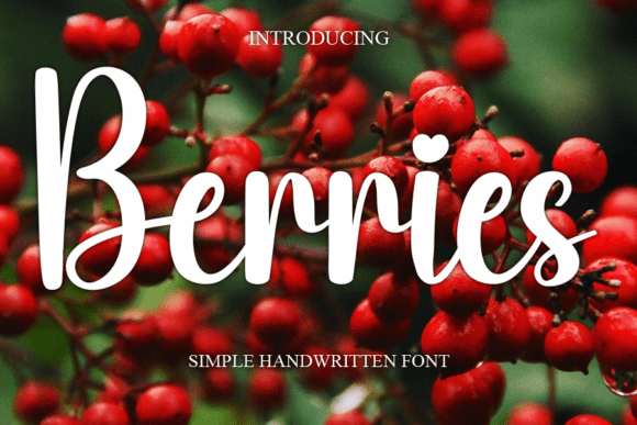Berries Font - Featured Image