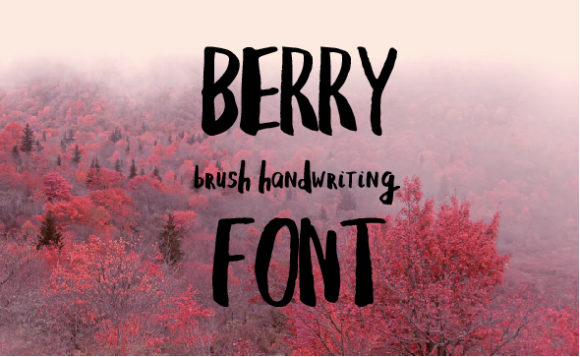 Berry Font - Featured Image