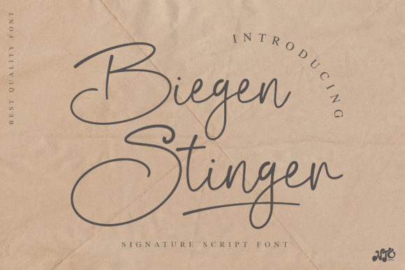 Biegen Stinger Script Font - Featured Image
