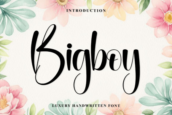 Bigboy Font - Featured Image