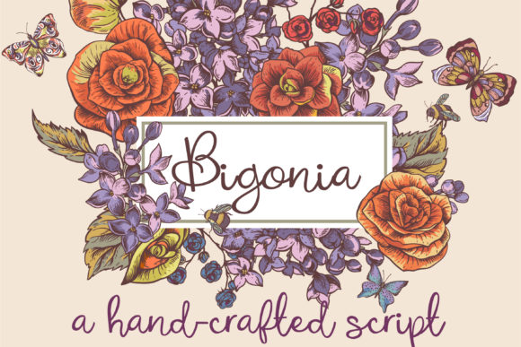 Bigonia Font - Featured Image
