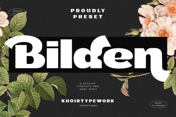 Bilden Font - Featured Image