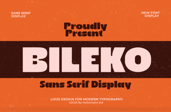 Bileko Font - Featured Image