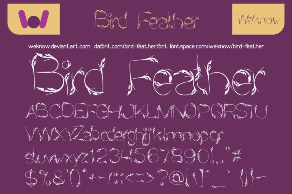Bird Feather Font - Featured Image