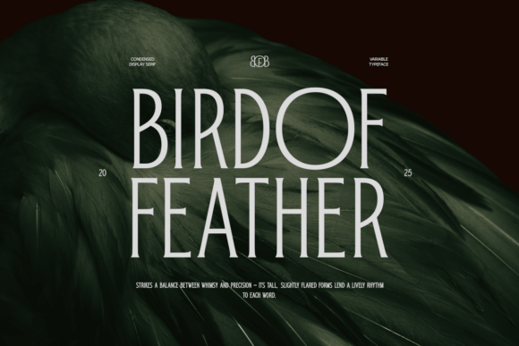 Bird of Feather Font - Featured Image
