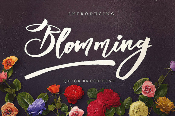 Blomming Font - Featured Image