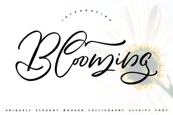 Blooming Font - Featured Image