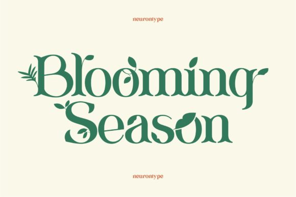 Blooming Season Font - Featured Image