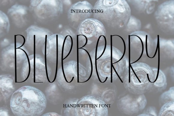 Blueberry Font - Featured Image