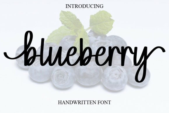 Blueberry Font - Featured Image