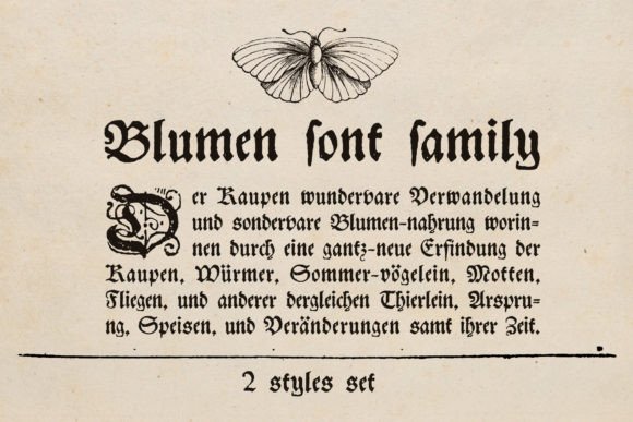 Blumen Font - Featured Image