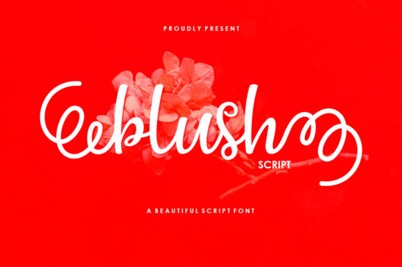Blush Script Font - Featured Image