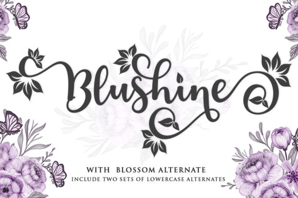 Blushine Script Font - Featured Image