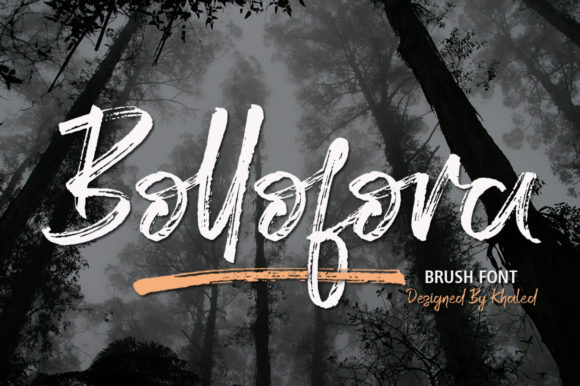 Bollofora Font - Featured Image