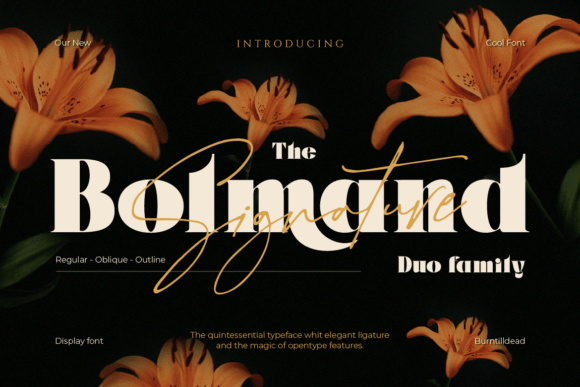 Bolmand Signature Font - Featured Image