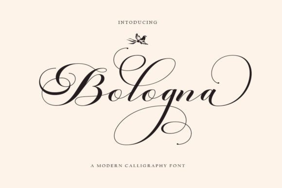 Bologna Font - Featured Image