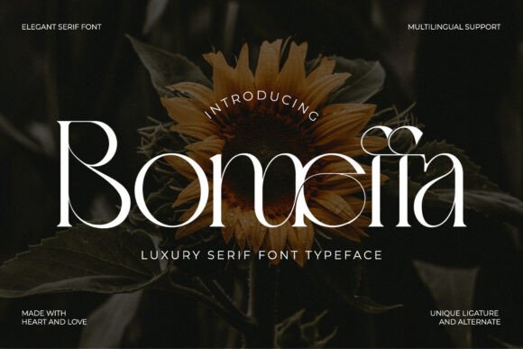 Bomeffa Regular Font - Featured Image