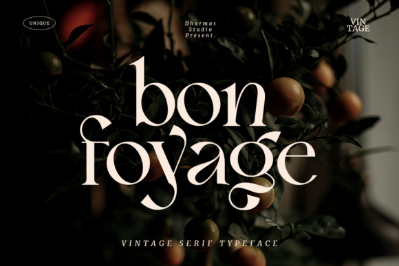 Bon Foyage Font - Featured Image